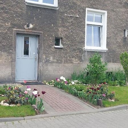Apartament W Centrum Nysa Dış mekan fotoğraf